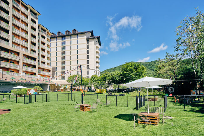 �{�݁i�C���[�W�j