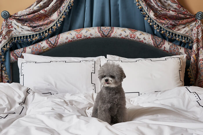 �q���i�C���[�W�j