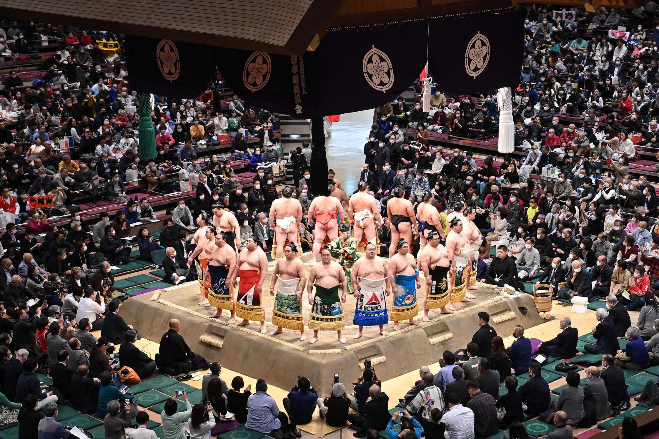 ���{���o����̎��݁u�告�o�v���~�A���V�[�g�v