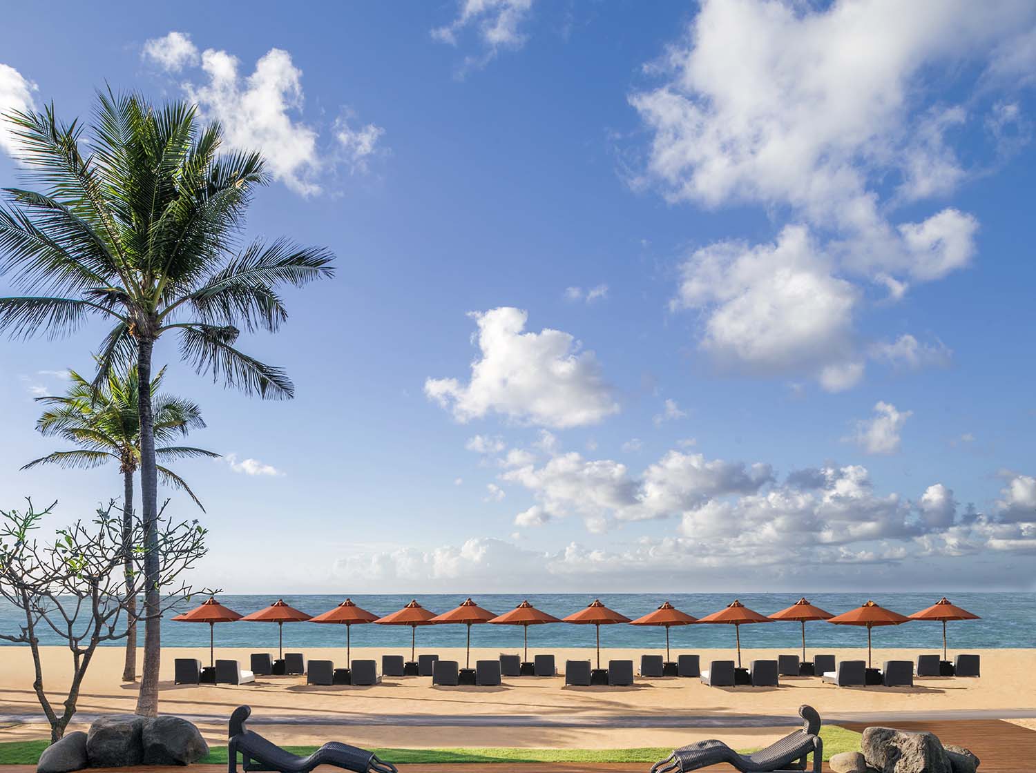 �u�₩�ȃv�[���Ɠ����ʂ������C�����������V�j�\�ȃ��O�[��