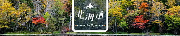 北海道特集