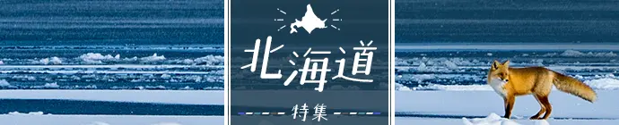 北海道特集