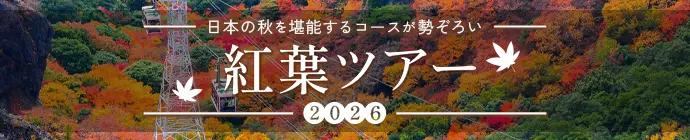 紅葉特集