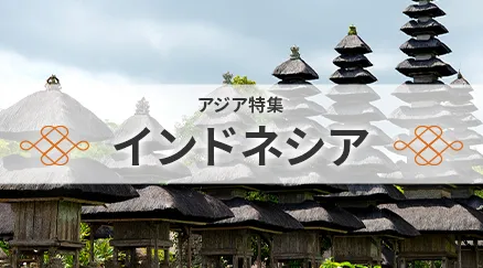 インドネシア特集