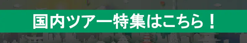 国内ツアー特集はこちら！