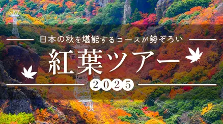 日本の秋を堪能するコースが勢ぞろい 紅葉ツアー2025
