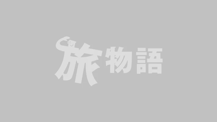 スターラックス航空