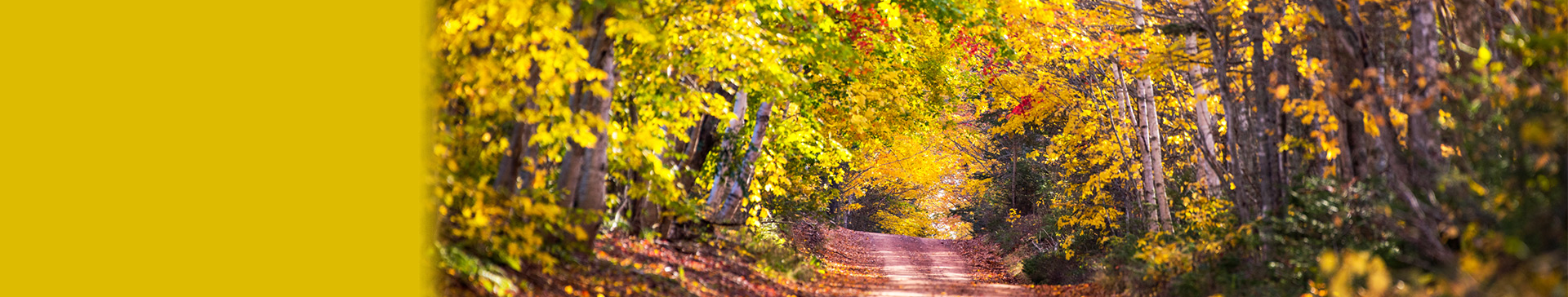 旅物語　つながり旅 特集KV01