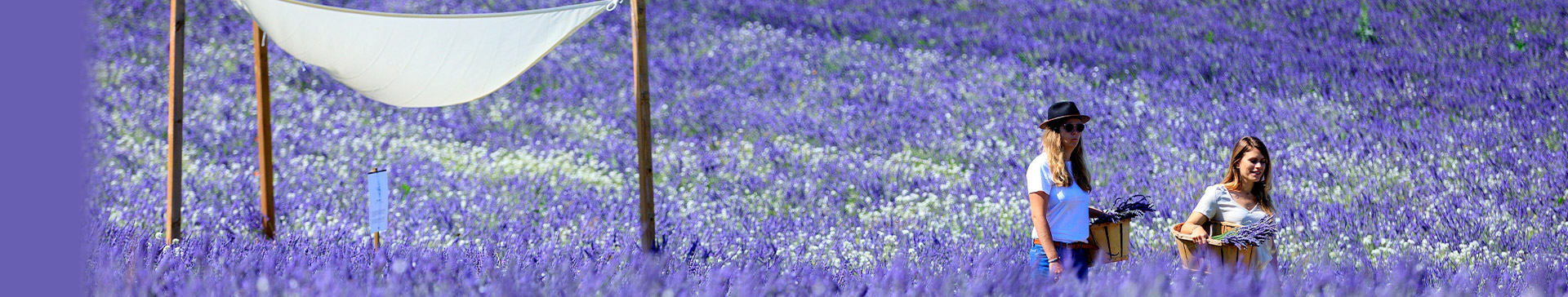 旅物語　つながり旅 特集KV02