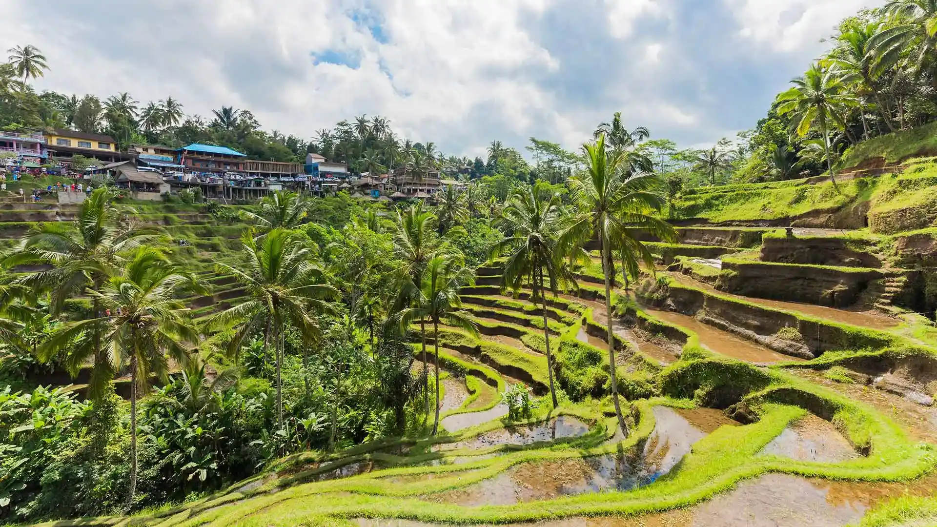 旅物語　インドネシア ツアー・旅行KV02