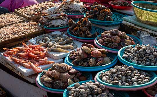 チャガルチ市場