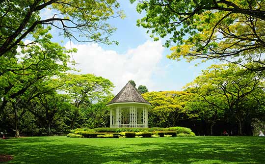 シンガポール植物園