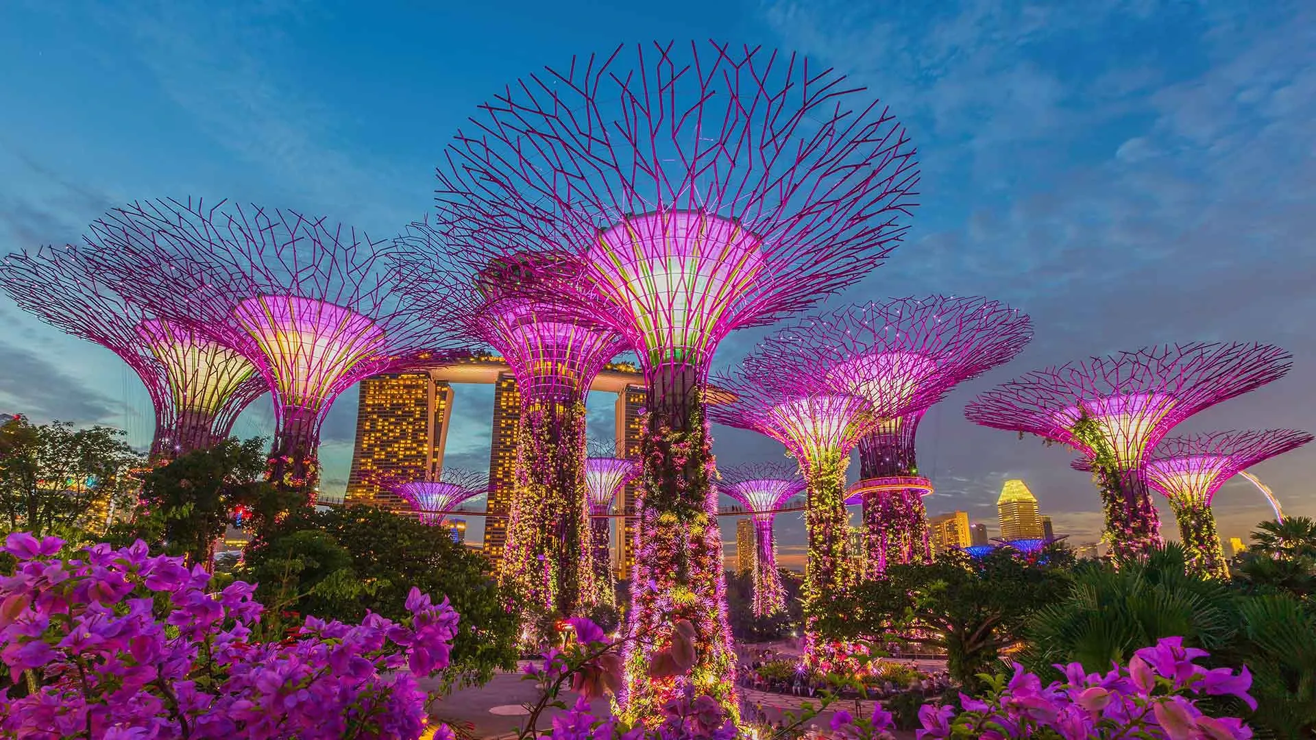 旅物語 シンガポール・旅行KV01