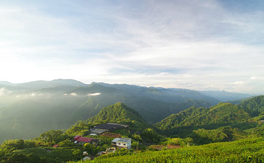 阿里山