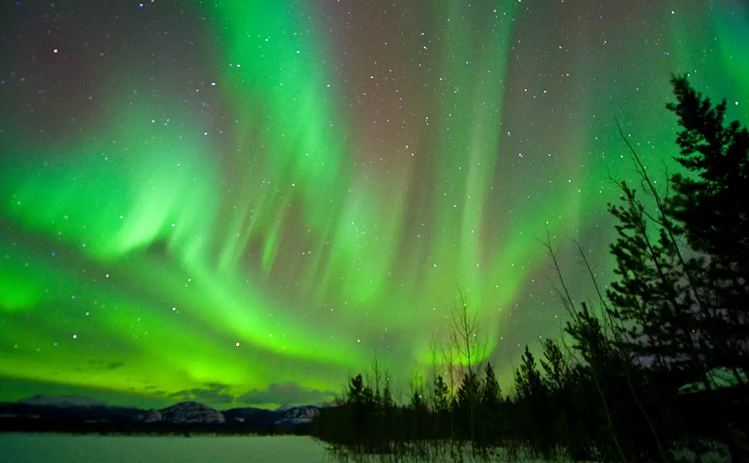 ホワイトホース