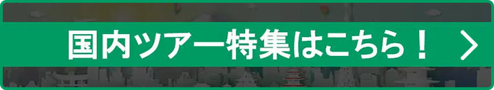 国内特集一覧