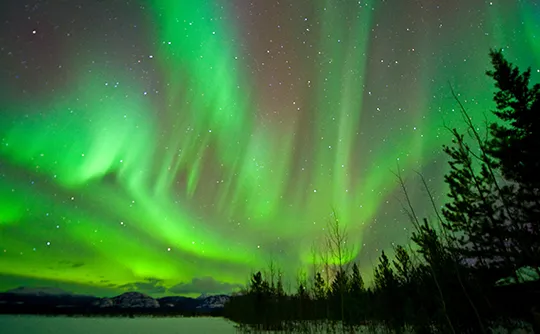 ホワイトホース