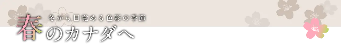 冬から目覚める色彩の季節　春のカナダへ