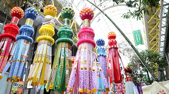 仙台七夕まつり　写真提供：宮城県観光戦略課