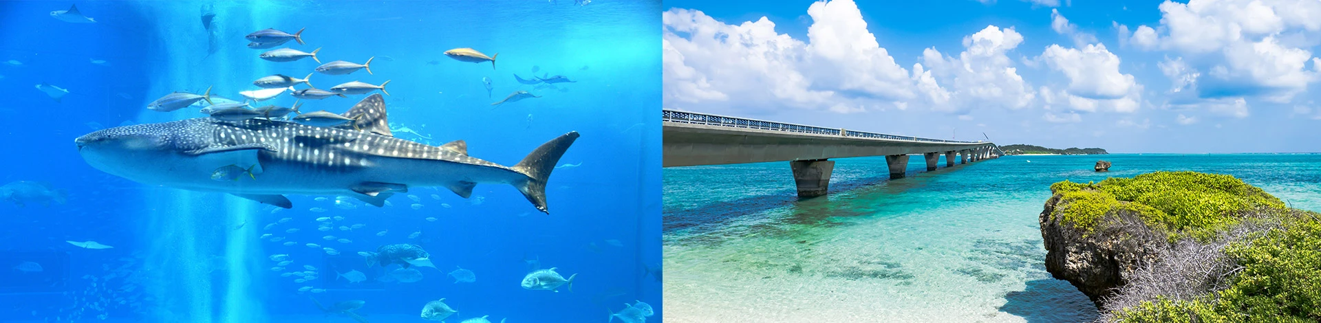 旅物語 沖縄特集 KV02