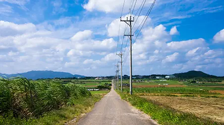 小浜島(シュガーロード)