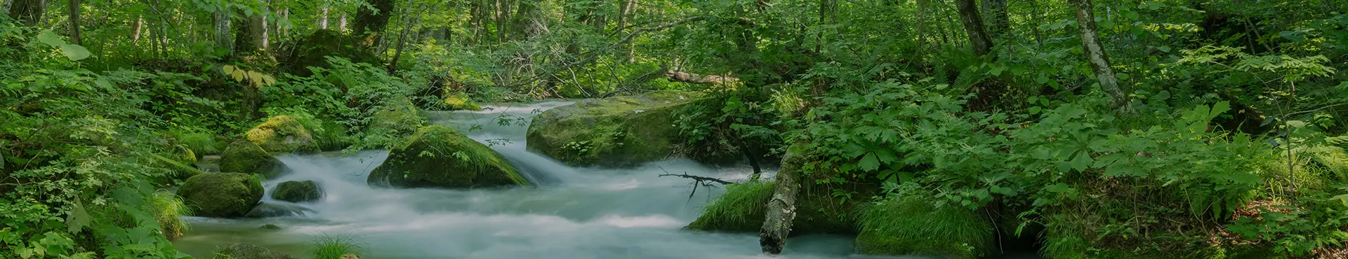 旅物語　夏 避暑地の旅 特集 KV01