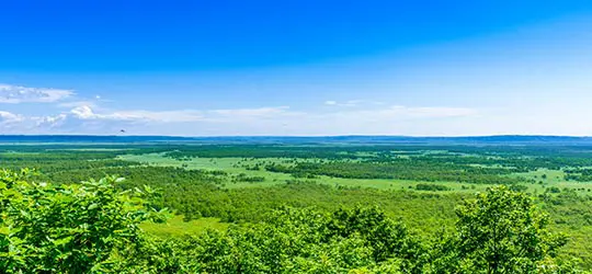 釧路湿原
