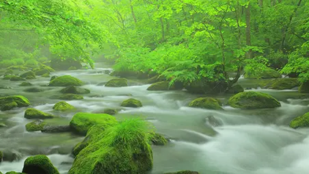 奥入瀬渓流