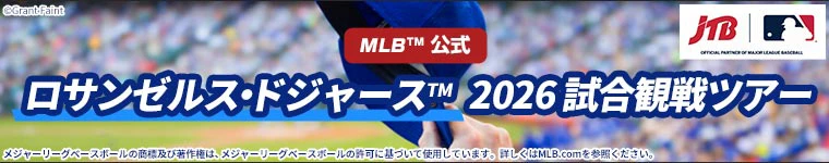 観戦チケット付きツアー（添乗員同行なし）