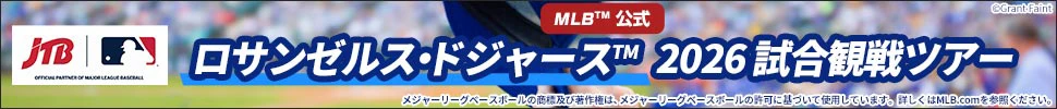観戦チケット付きツアー（添乗員同行なし）