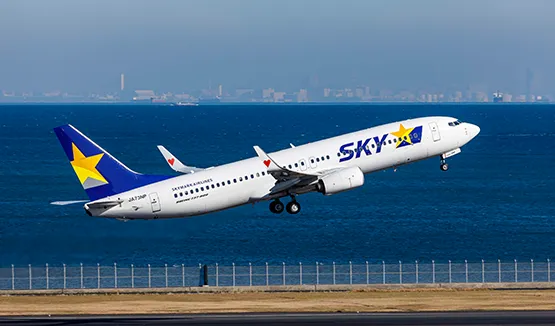 スカイマーク 機影