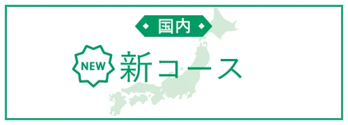 国内新コース