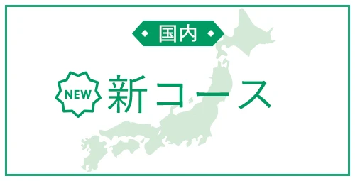 国内新コース