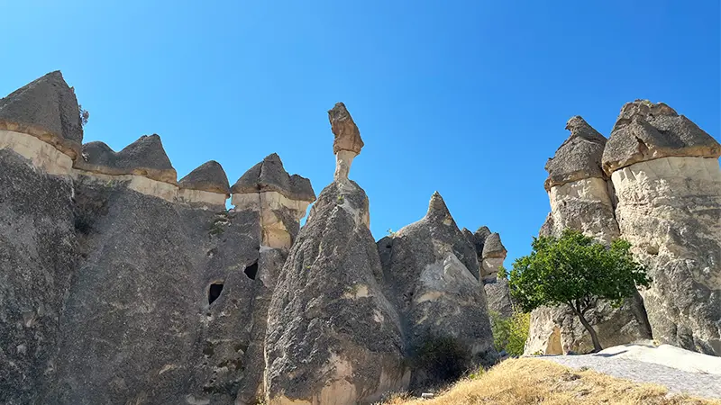 世界複合遺産のある国