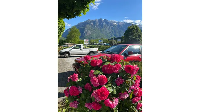 ちょうどお花が見頃の時期で、至る所に咲いている様々なお花が景色をより一層彩ってくれました！