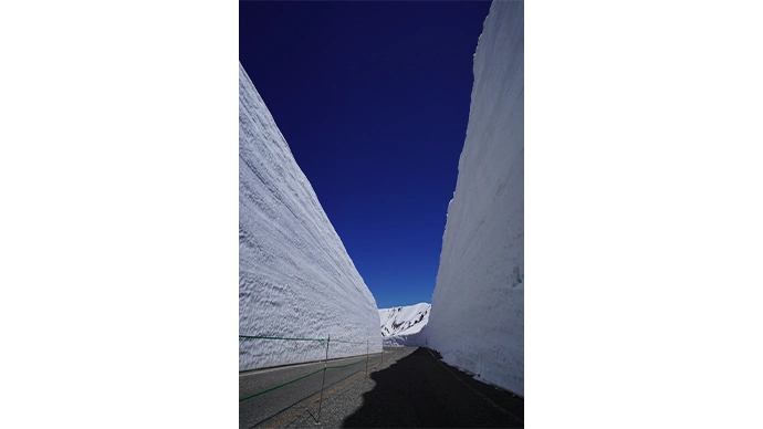 室堂・雪の大谷（2025年4月26日撮影）