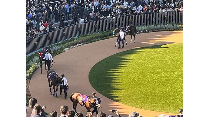 京都競馬場内パドック