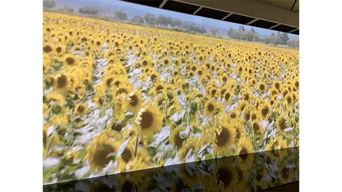 幅14メートルを超える空間で体感するイマーシブ・コーナー