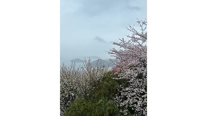 周りには人工物が殆ど無い為、絵画の中に入り込んだような静けさです。