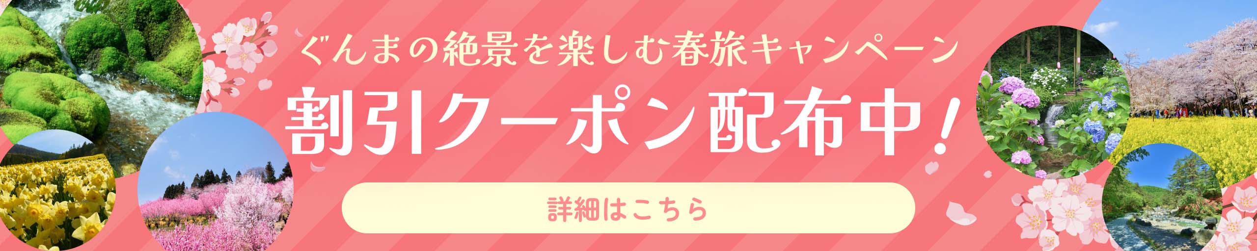割引クーポン配布中！