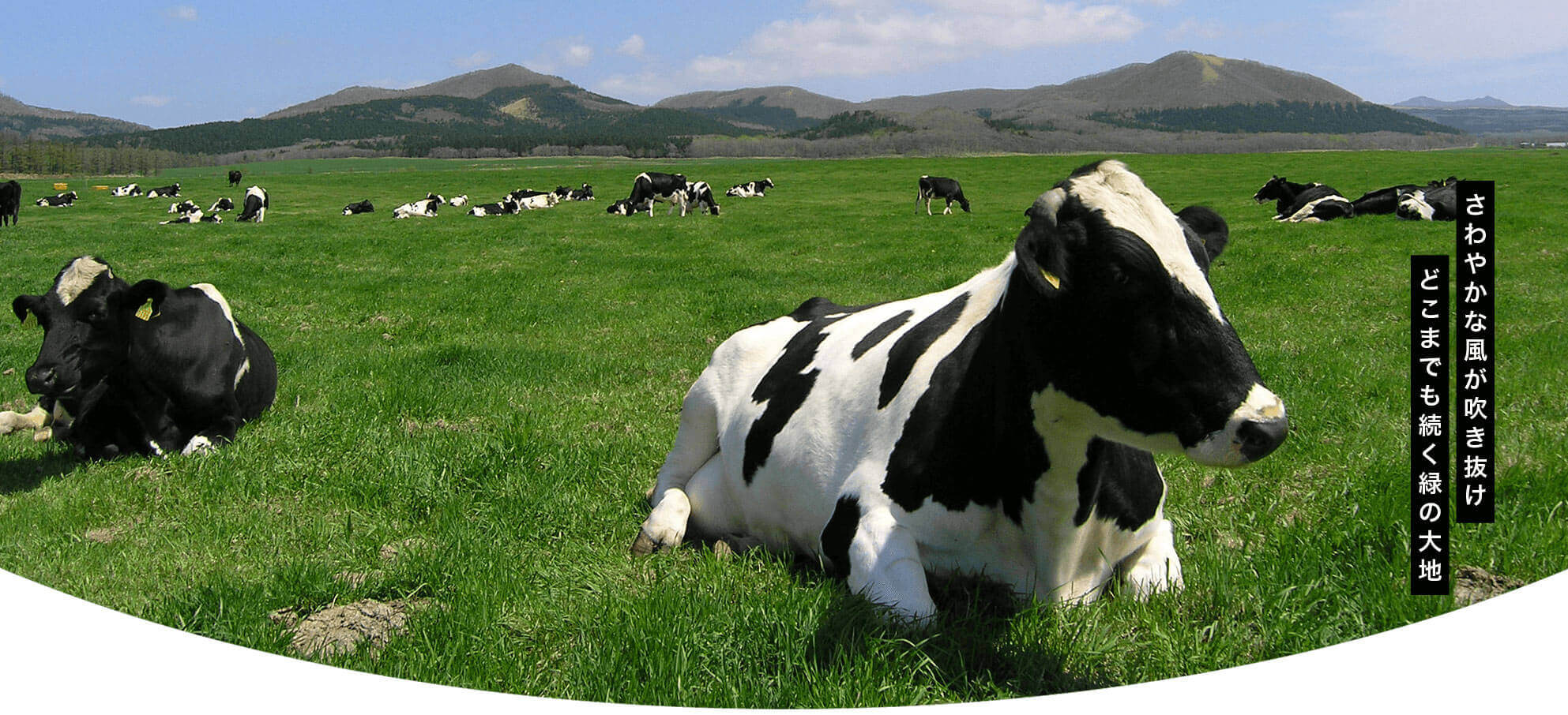 道東/渡辺体験牧場(イメージ)