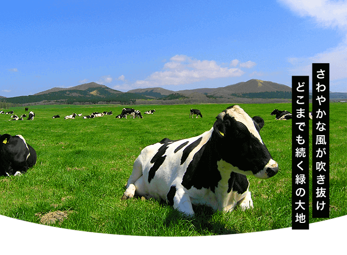 道東/渡辺体験牧場(イメージ)