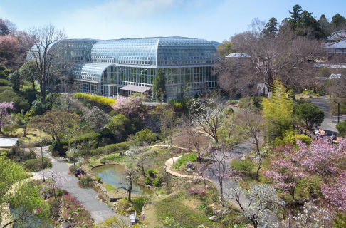 高知県立牧野植物園