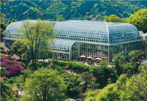 牧野植物園の写真