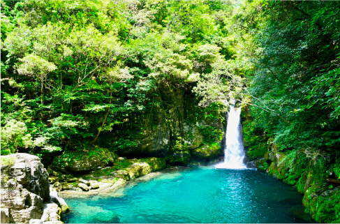 仁淀ブルーの清流