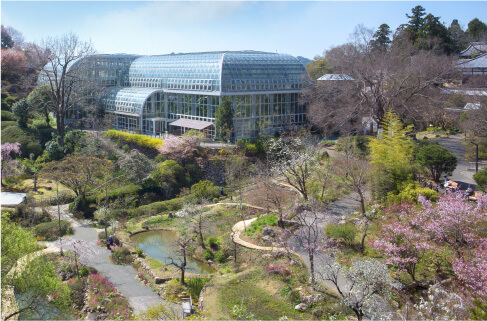 高知県立牧野植物園