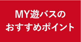 MY遊バスのおすすめポイント