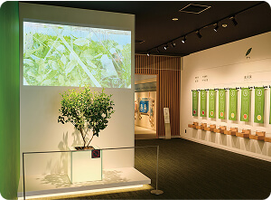 イメージ：茶づなミュージアム 宇治茶の間