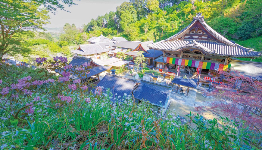 岡寺