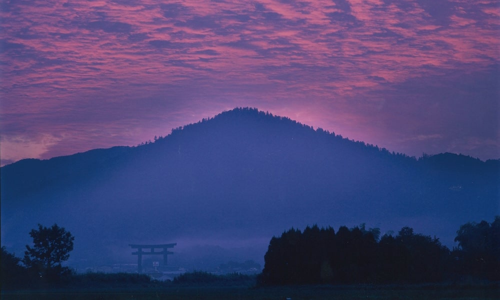 写真1